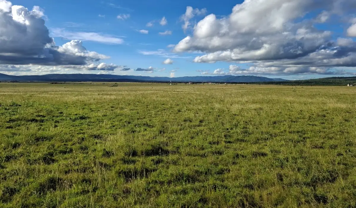 Investment land in Konza City featuring scenic landscapes and fast-growing surroundings