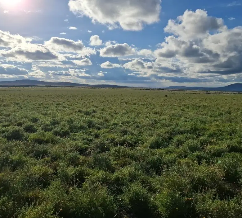 Strategic land investment in Konza City Kenya located near the Nairobi-Mombasa Highway and Konza Technopolis