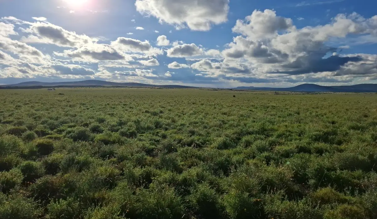 Strategic land investment in Konza City Kenya located near the Nairobi-Mombasa Highway and Konza Technopolis
