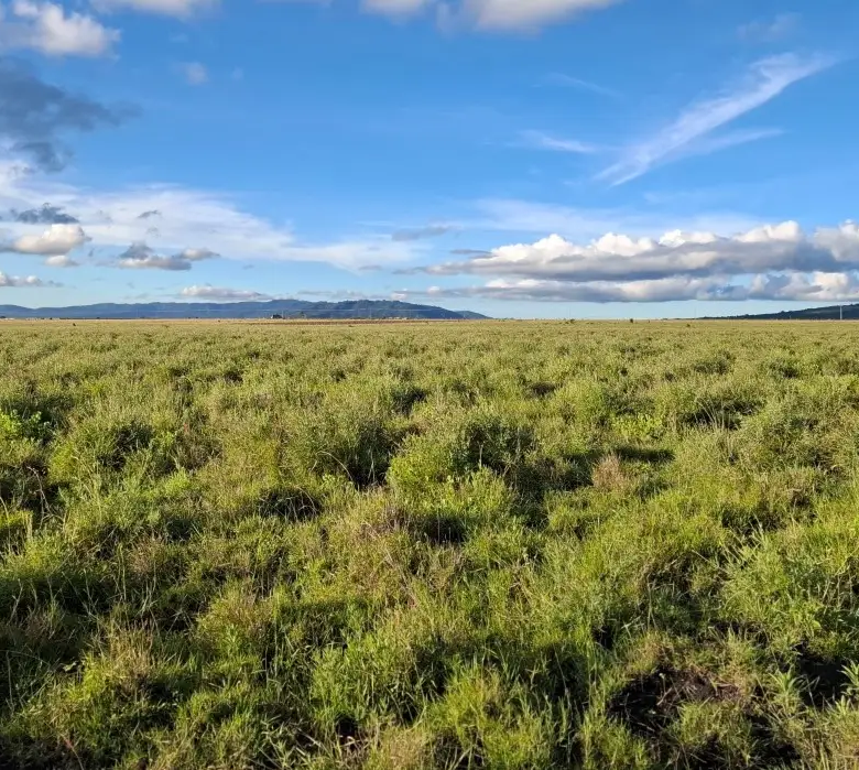 Prime mixed-use development property in Konza City Kenya with excellent accessibility and long-term appreciation potential