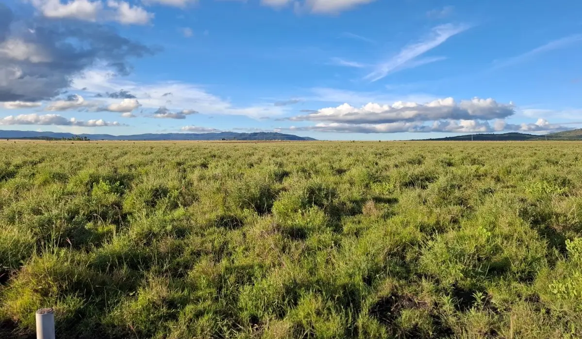 Prime mixed-use development property in Konza City Kenya with excellent accessibility and long-term appreciation potential