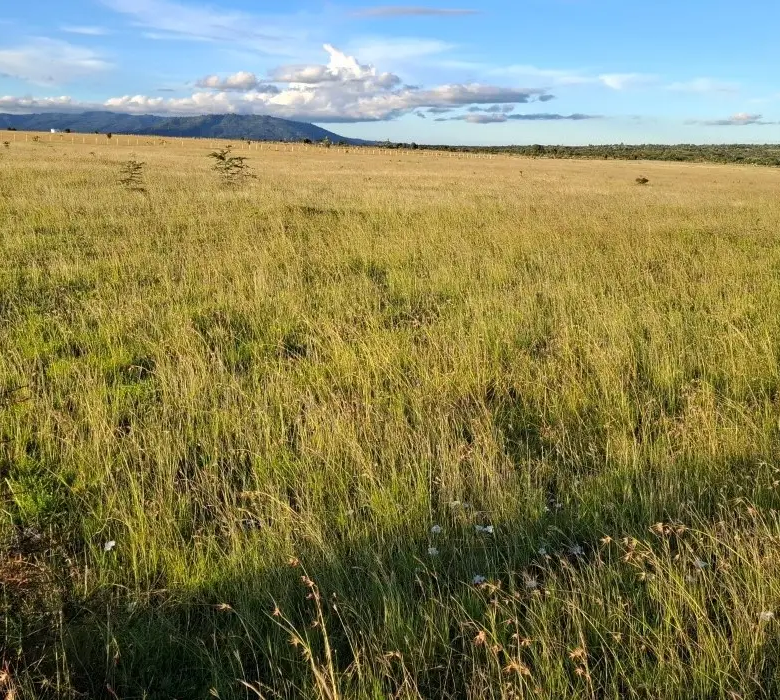 Serviced plots in Konza City suitable for gated communities and retirement homes
