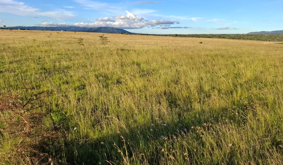 Serviced plots in Konza City suitable for gated communities and retirement homes