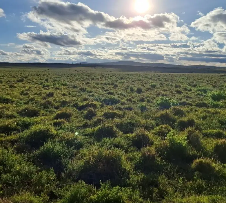Prime development land near Konza Technopolis and the Nairobi-Mombasa Highway with excellent accessibility and strategic investment value