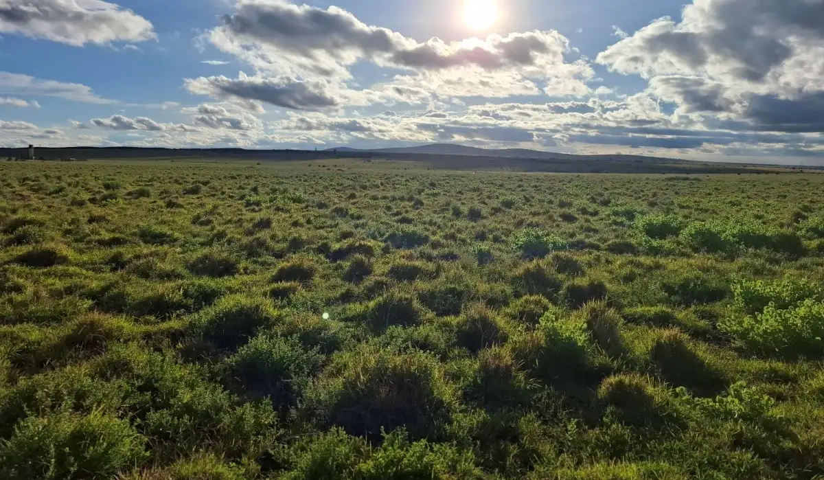 Prime development land near Konza Technopolis and the Nairobi-Mombasa Highway with excellent accessibility and strategic investment value