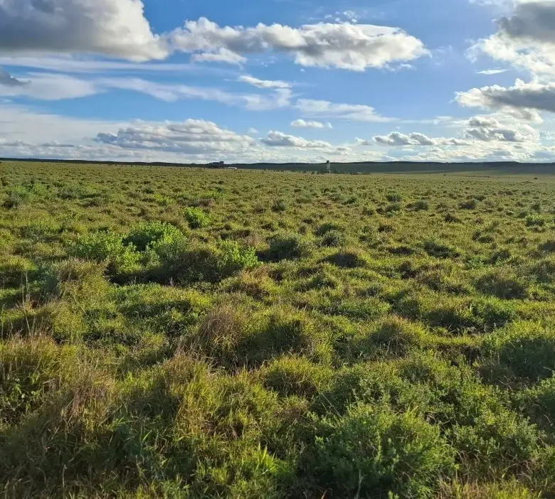 Scenic mixed-use land in Konza City Kenya suitable for residential estates, commercial projects, SACCO developments, and land banking