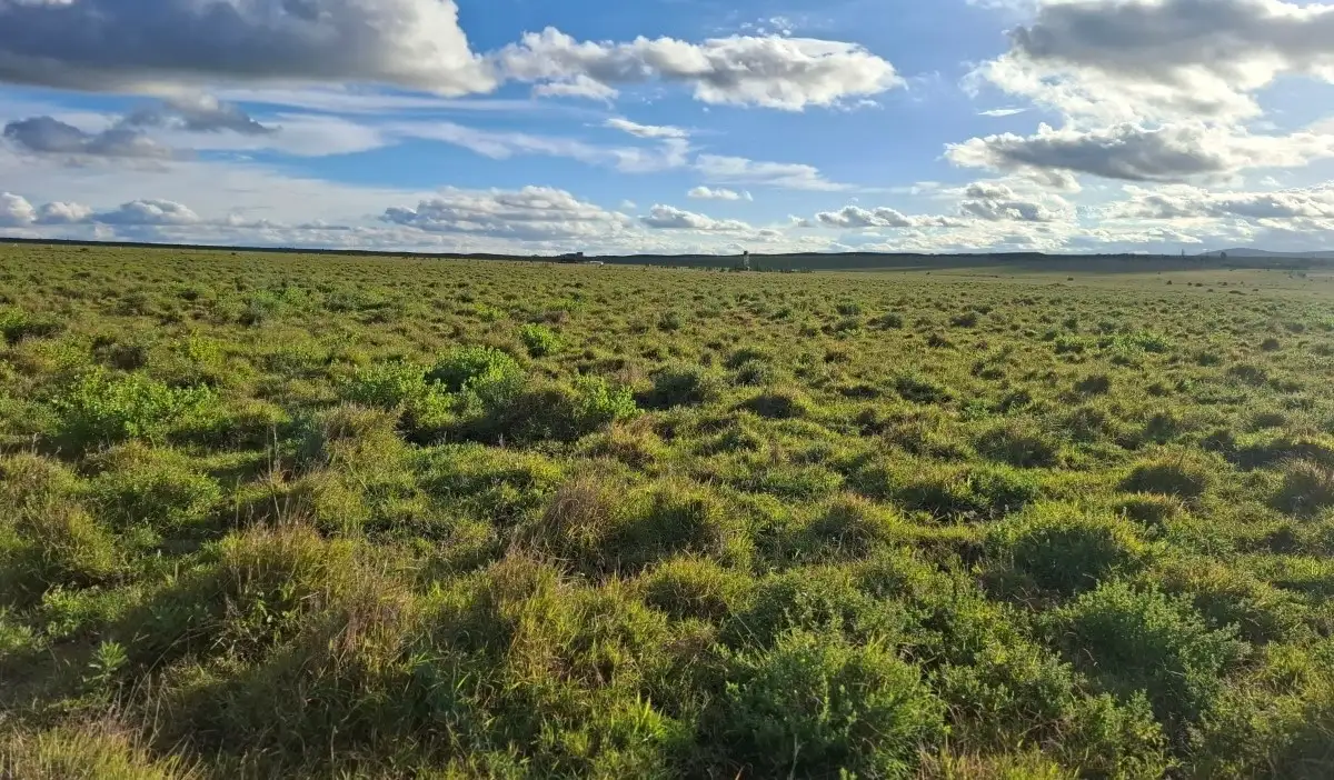 Scenic mixed-use land in Konza City Kenya suitable for residential estates, commercial projects, SACCO developments, and land banking