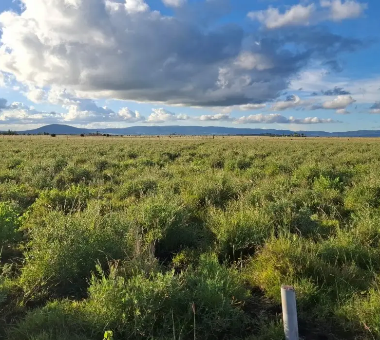 Scenic mixed-use development land in Konza City suitable for residential estates, commercial projects, and land banking