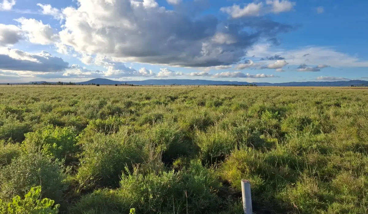 Scenic mixed-use development land in Konza City suitable for residential estates, commercial projects, and land banking
