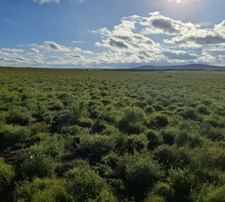 Prime mixed-use investment land in Konza City Kenya located near Konza Technopolis and the Nairobi-Mombasa Highway