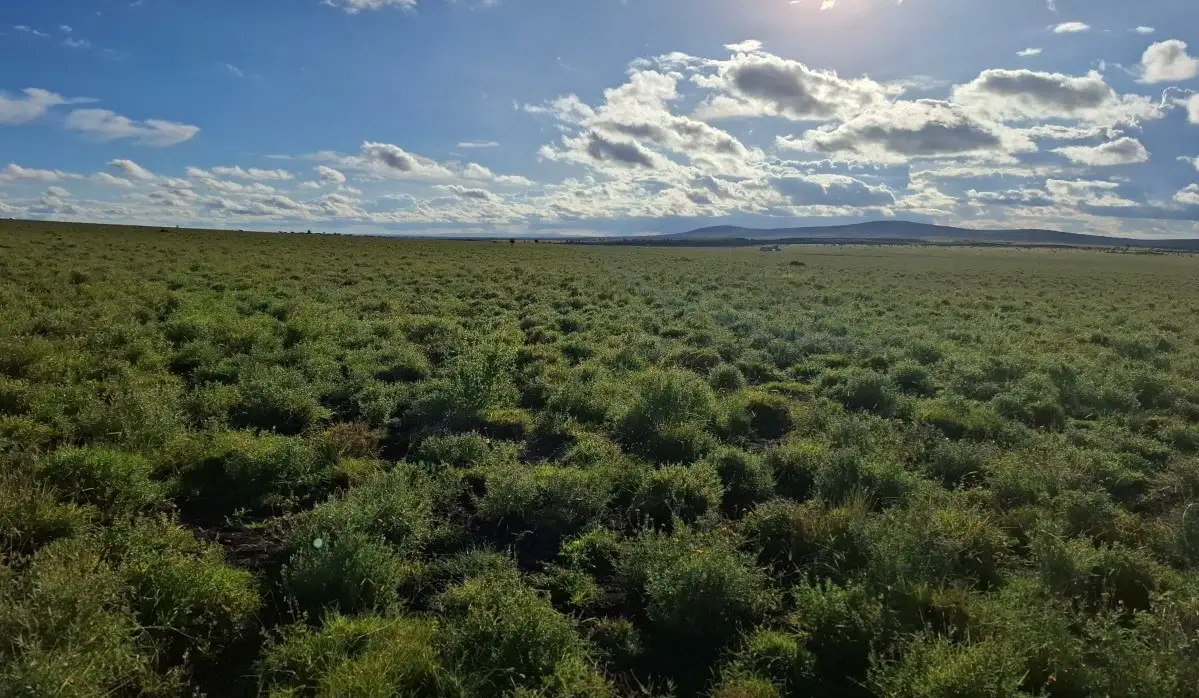 Prime mixed-use investment land in Konza City Kenya located near Konza Technopolis and the Nairobi-Mombasa Highway