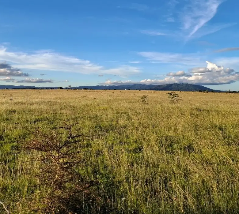 Prime residential investment plots in Konza City with panoramic views and secure surroundings