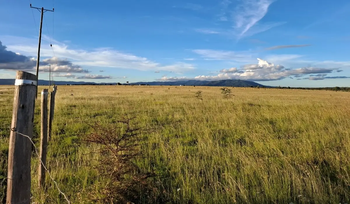 Prime residential investment plots in Konza City with panoramic views and secure surroundings
