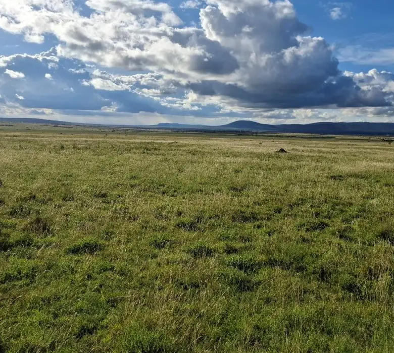 Prime development land in Konza City suitable for gated communities and commercial projects
