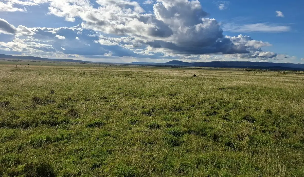 Prime development land in Konza City suitable for gated communities and commercial projects
