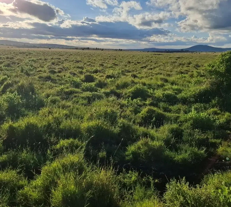Scenic mixed-use investment land in Konza City Kenya with panoramic views and development-ready terrain