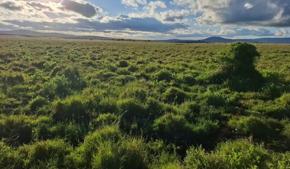 Scenic mixed-use investment land in Konza City Kenya with panoramic views and development-ready terrain