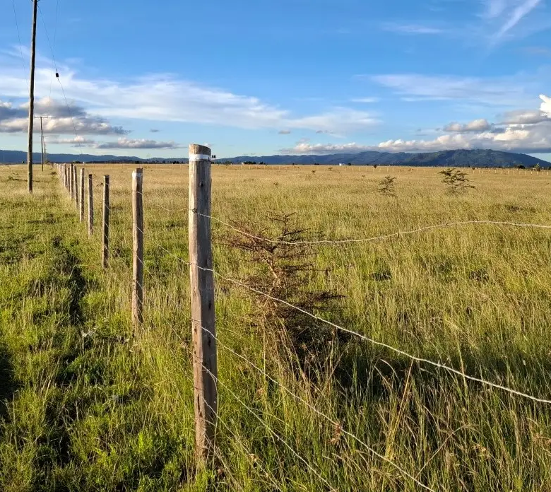Open serviced plots near Konza Technopolis suitable for residential and investment projects