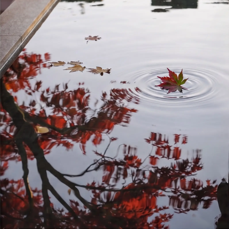 Seasons Riverside water reflection and landscaped courtyard detail