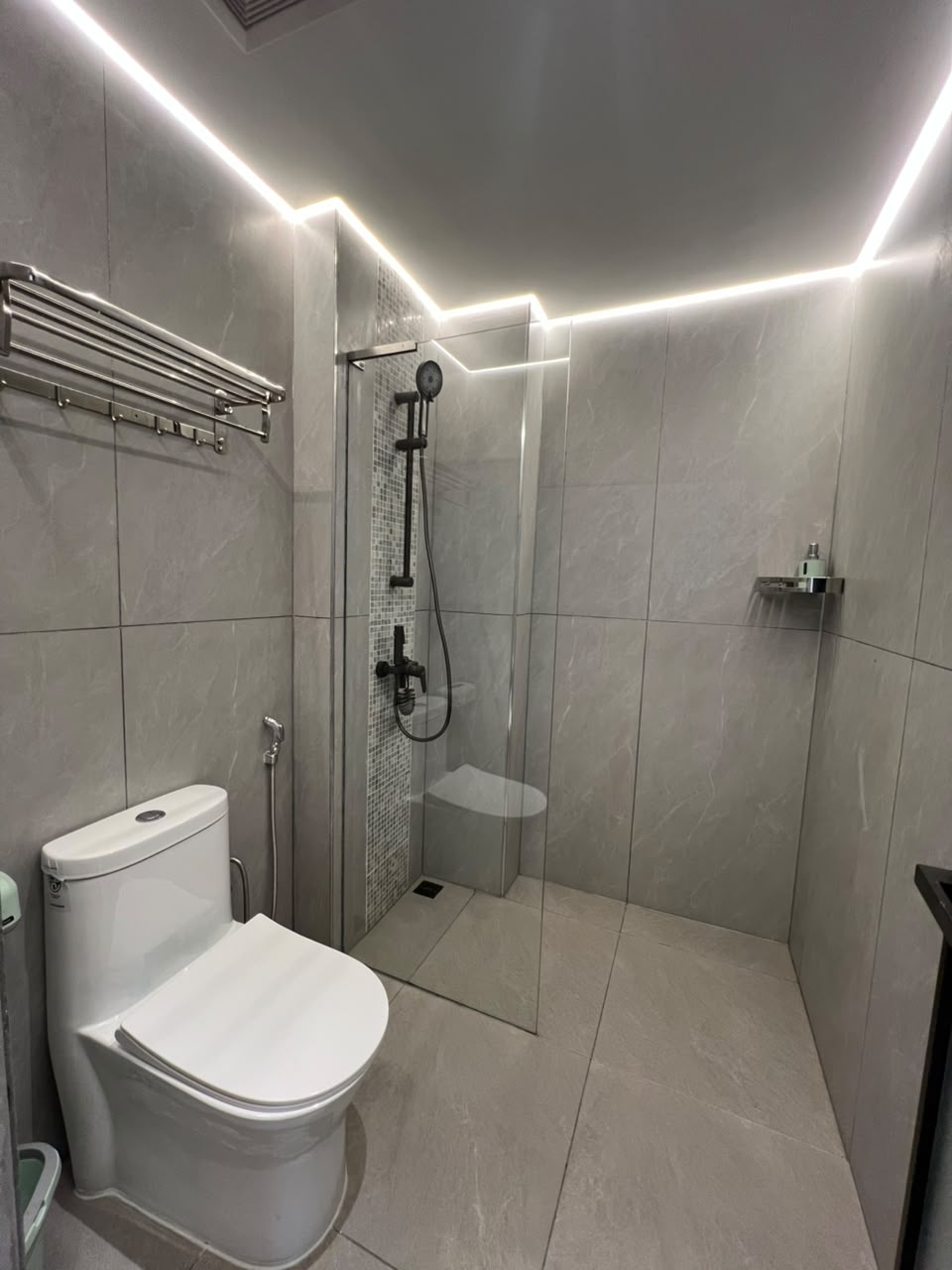 Longines Bay modern bathroom with glass shower enclosure, grey wall tiles and contemporary toilet.
